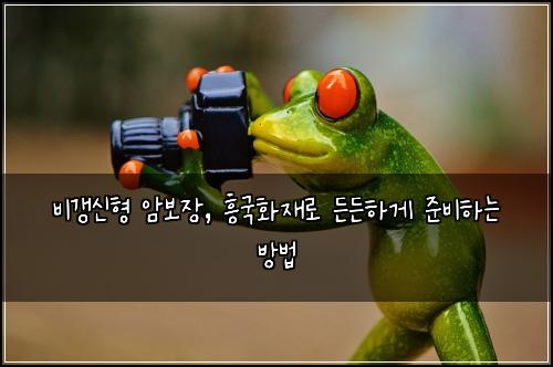 비갱신형 암보장, 흥국화재로 든든하게 준비하는 방법