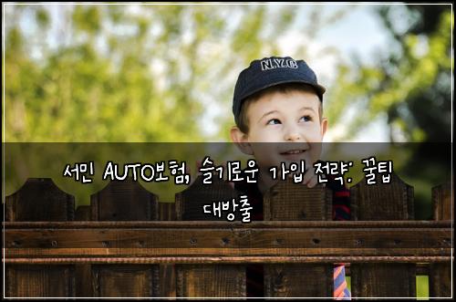 서민 AUTO보험, 슬기로운 가입 전략: 꿀팁 대방출
