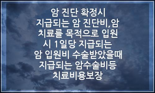 오늘의 이미지