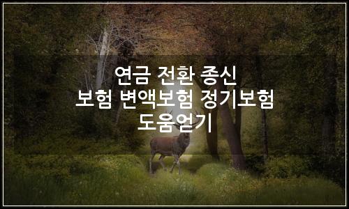오늘의 이미지