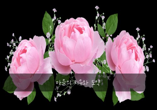 마음의 치유와 도약