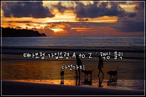 태아보험 가입요령 A to Z : 핵심 클릭 다섯가지
