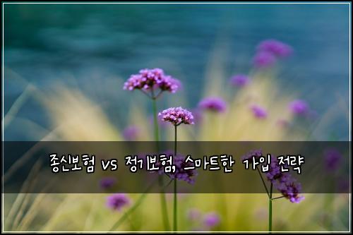 종신보험 vs 정기보험, 스마트한 가입 전략