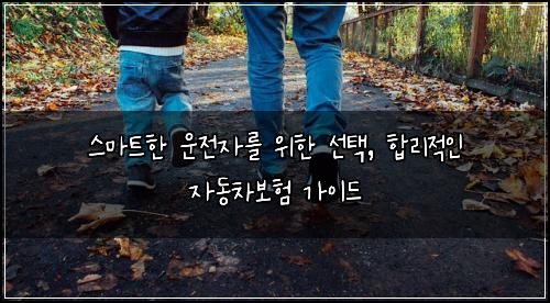  스마트한 운전자를 위한 선택, 합리적인 자동차보험 가이드