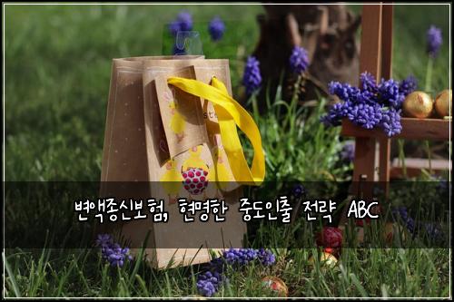  변액종신보험, 현명한 중도인출 전략 ABC
