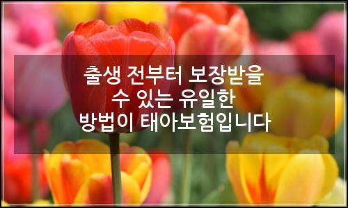 오늘의 이미지