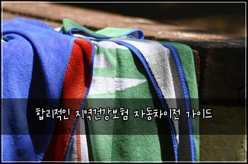  합리적인 지역건강보험 자동차이전 가이드