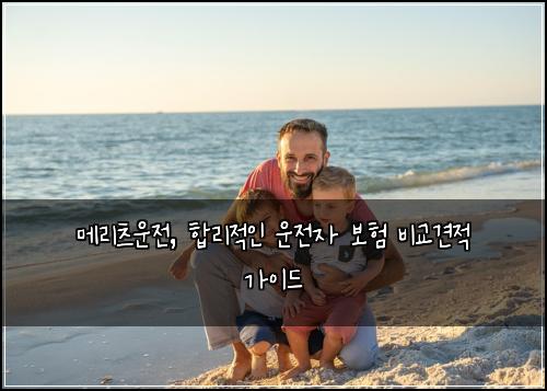 메리츠운전, 합리적인 운전자 보험 비교견적 가이드