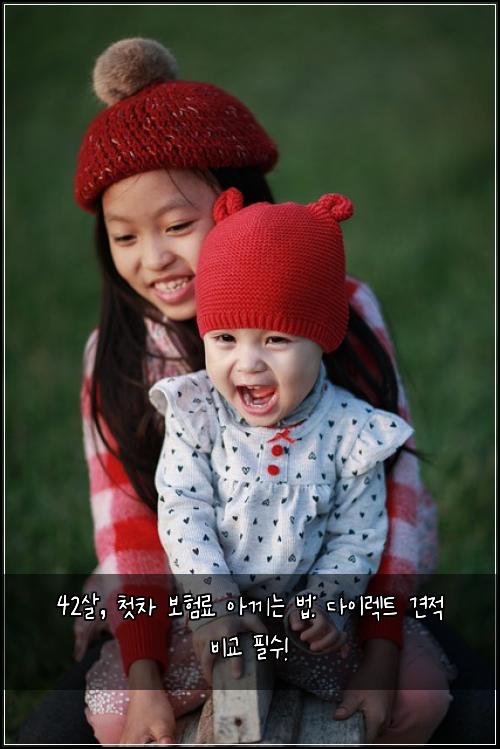 42살, 첫차 보험료 아끼는 법: 다이렉트 견적 비교 필수!