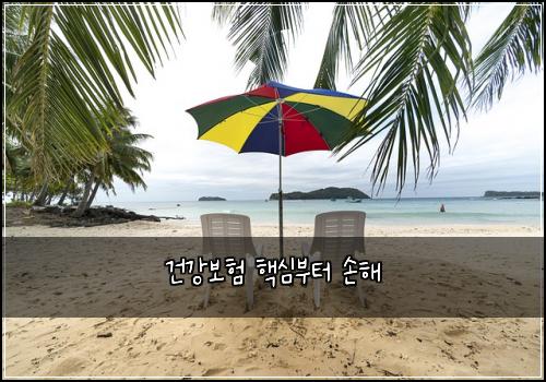 건강보험 핵심부터  손해
