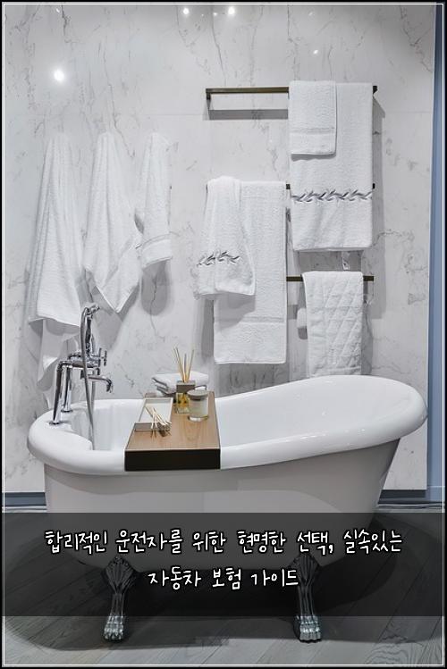  합리적인 운전자를 위한 현명한 선택, 실속있는 자동차 보험 가이드