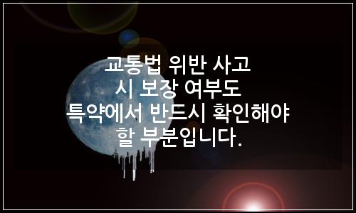 오늘의 이미지
