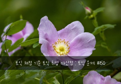 토익 채점 기준 토익 취업 가산점 : 토익 문제 #150