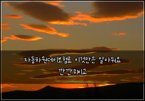 자동차원데이보험료 이것만은 알아둬요 깐깐히비교