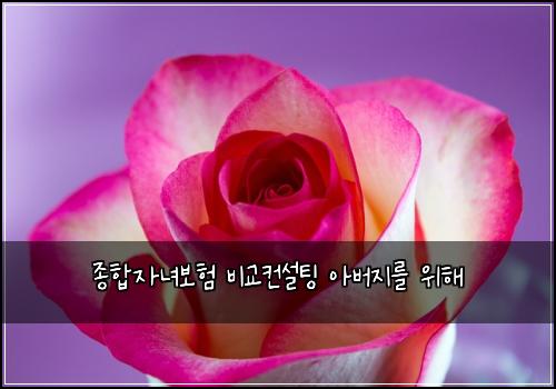 종합자녀보험 비교컨설팅  아버지를 위해