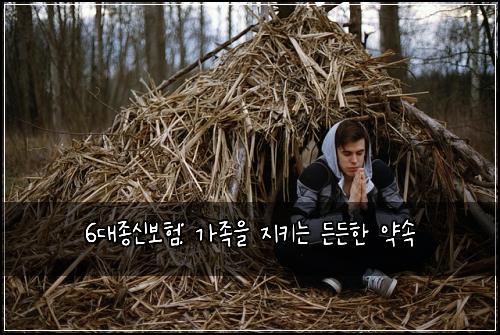 6대종신보험: 가족을 지키는 든든한 약속