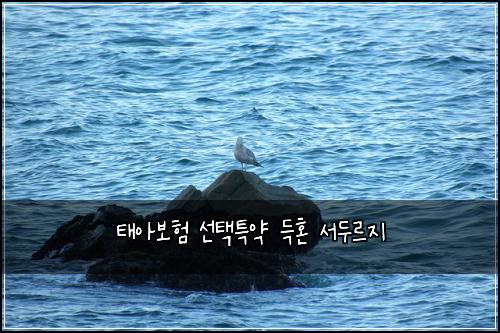 태아보험 선택특약  득혼 서두르지