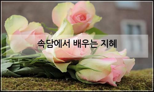 오늘의 이미지