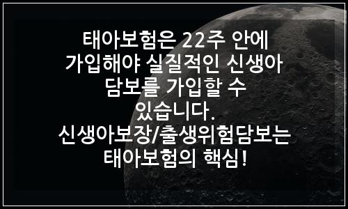 오늘의 이미지
