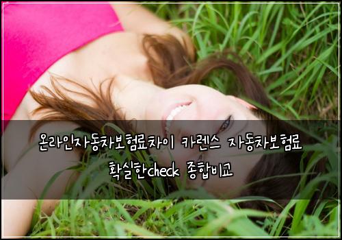 온라인자동차보험료차이 카렌스 자동차보험료 확실한check 종합비교