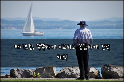 태아보험, 똑똑하게 비교하고 꼼꼼하게 견적 체크!