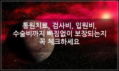 오늘의 이미지