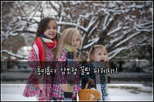 흥미롭다 암보험 꿀팁 파헤치기