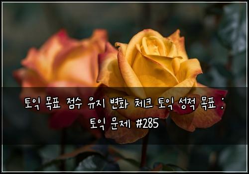 토익 목표 점수 유지 변화 체크 토익 성적 목표 : 토익 문제 #285