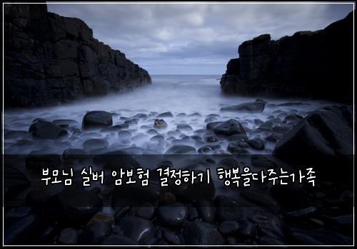 부모님 실버 암보험 결정하기  행복을다주는가족