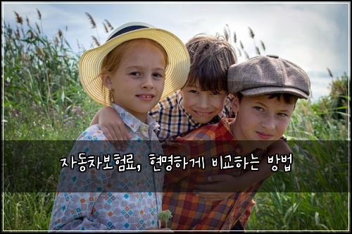 자동차보험료, 현명하게 비교하는 방법