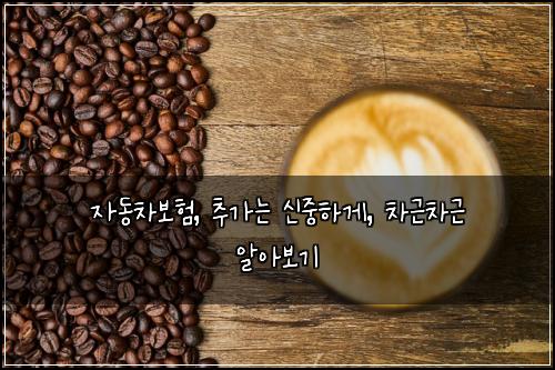  자동차보험, 추가는 신중하게, 차근차근 알아보기
