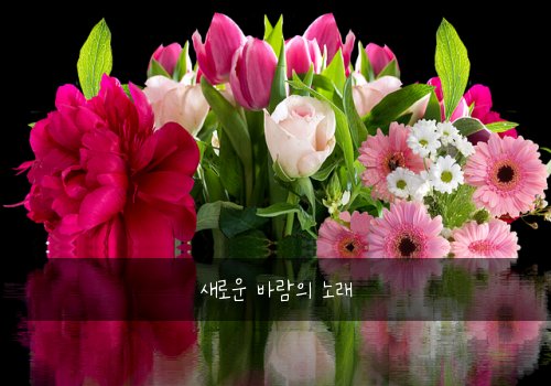 새로운 바람의 노래