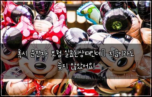  혹시 운전자 보험 실효된상태인데… 지금이라도 늦지 않았어요!