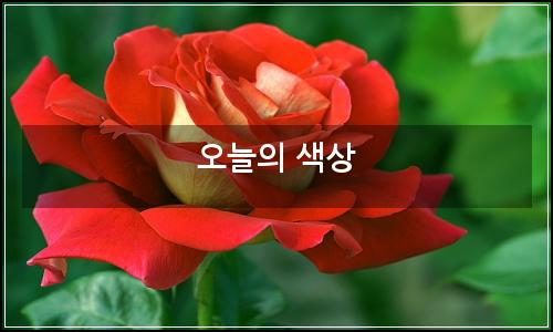 오늘의 이미지