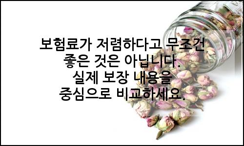 오늘의 이미지