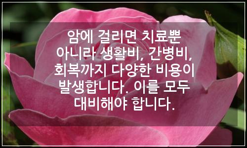오늘의 이미지