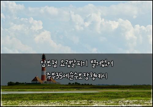 암보험 요령살피기  별거없어 주부35세순수보장형예시