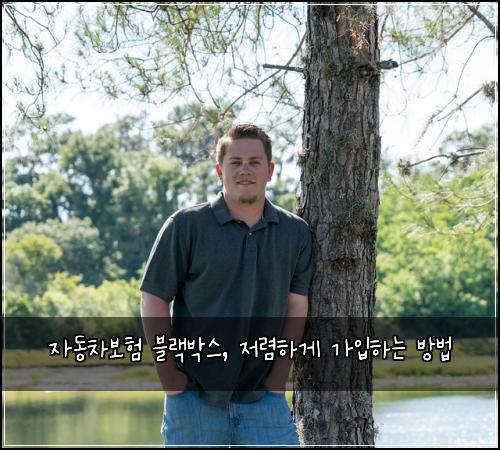 자동차보험 블랙박스, 저렴하게 가입하는 방법