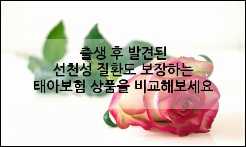 오늘의 이미지