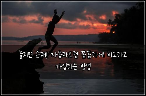  놓치면 손해! 자동차보험 꼼꼼하게 비교하고 가입하는 방법