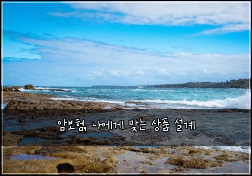 암보험, 나에게 맞는 상품 설계