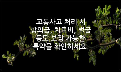 오늘의 이미지