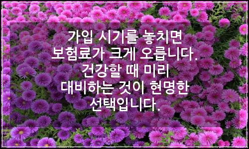 오늘의 이미지