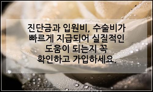 오늘의 이미지