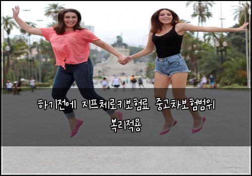 하기전에 지프체로키보험료 중고차보험범위 복리적용