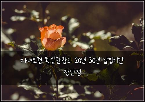 자녀보험 확실한참고  20년 30년 납입기간 장단점