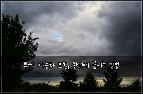 투싼 자동차 보험, 한번에 끝내는 방법