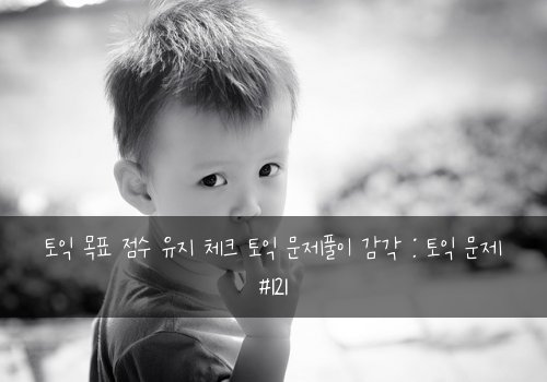 토익 목표 점수 유지 체크 토익 문제풀이 감각 : 토익 문제 #121