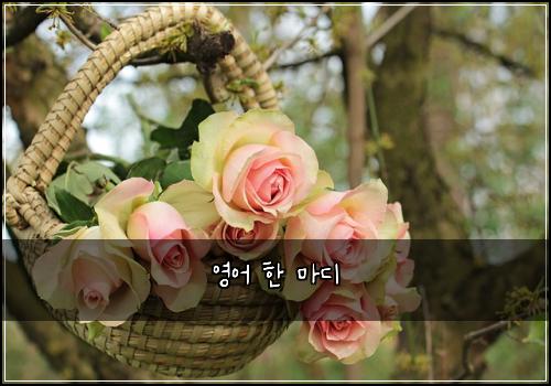 ์์ด ํ ๋ง๋