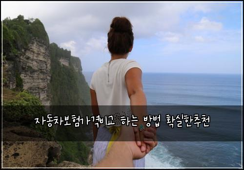 자동차보험가격비교 하는 방법 확실한추천